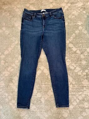 Lane Bryant Dark Blue Skinny Jeans